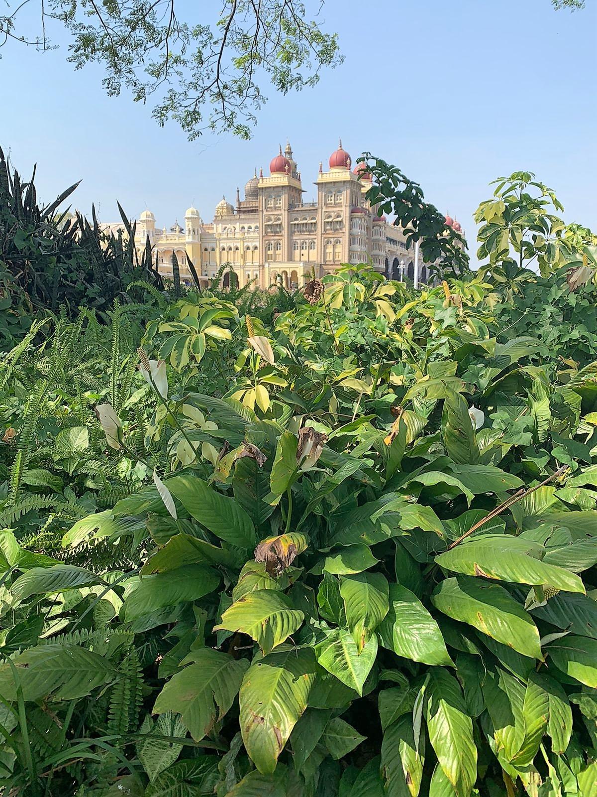 Mysore Palace 1